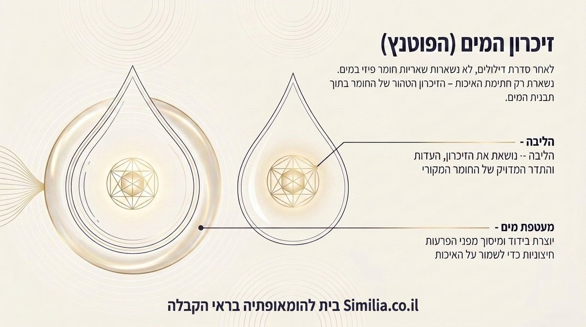 דיאגרמת זיכרון המים - ליבה פנימית ומעטפת מים חיצונית